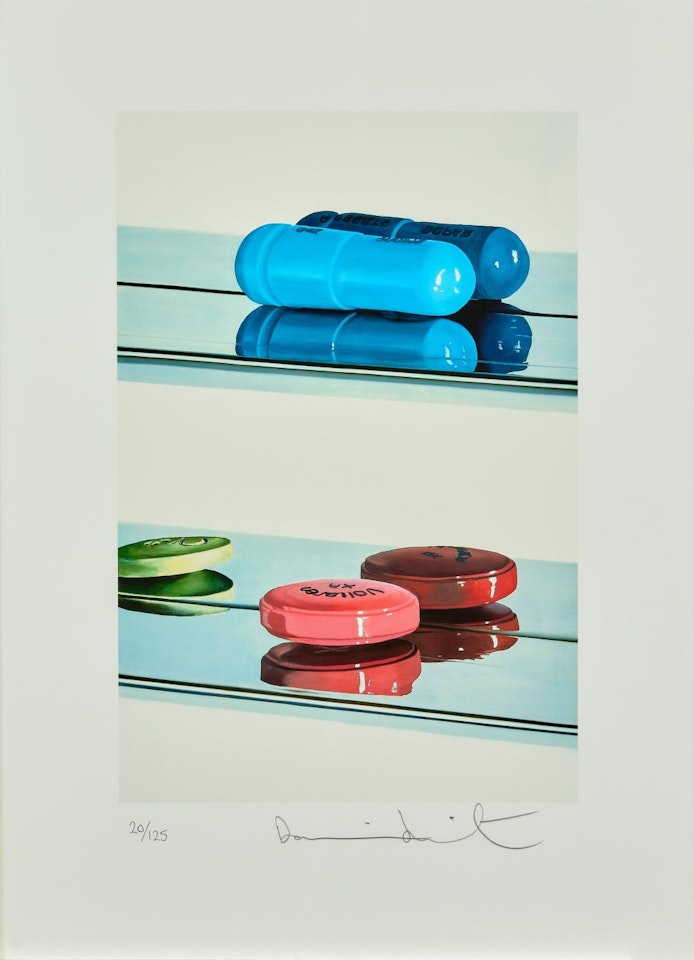 Two Pills by Damien Hirst