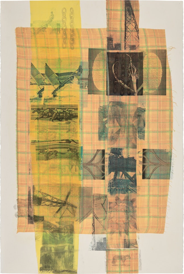 Sherbet Tree (Slide) by Robert Rauschenberg