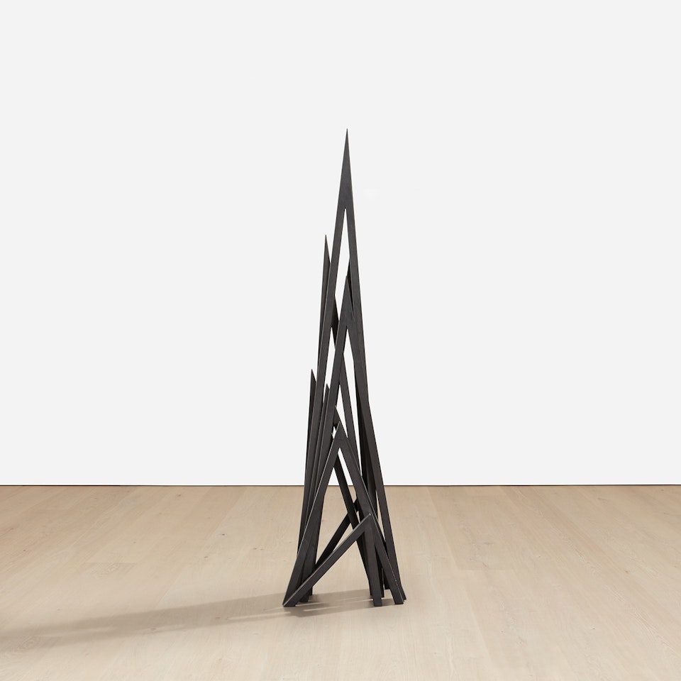 9 Acute Unequal Angles by Bernar Venet