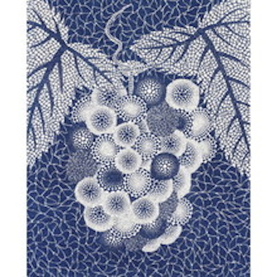 GRAPES by Yayoi Kusama