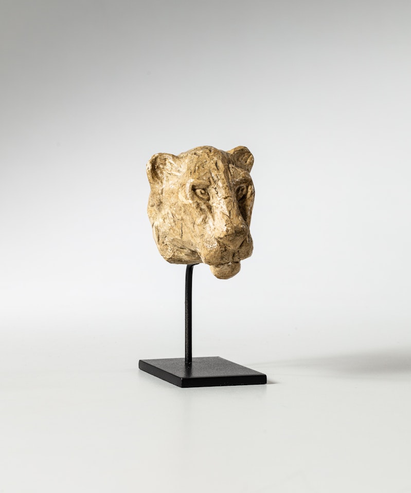Tête de lionne by Diego Giacometti