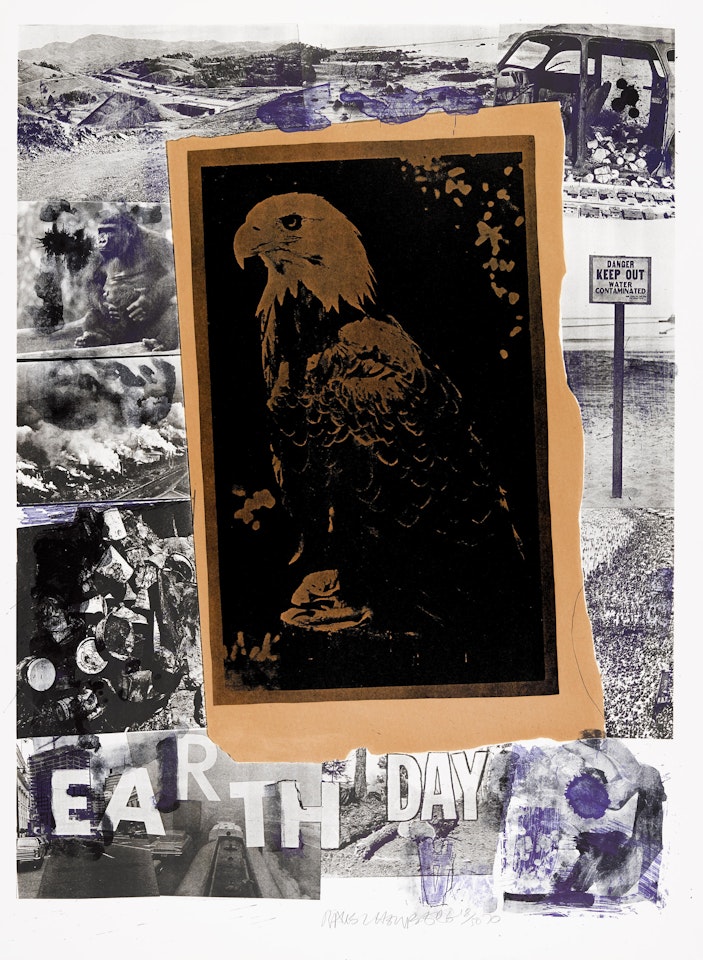 Earth Day by Robert Rauschenberg