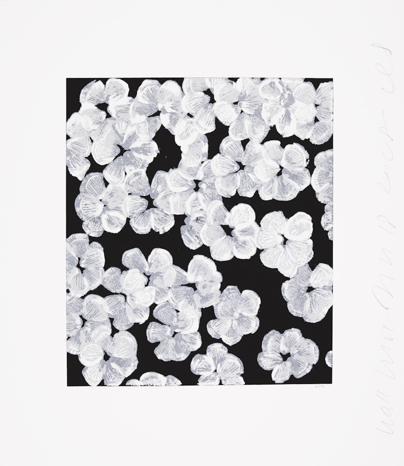 Wallflower 8, from Wallflowers Suite by Donald Sultan