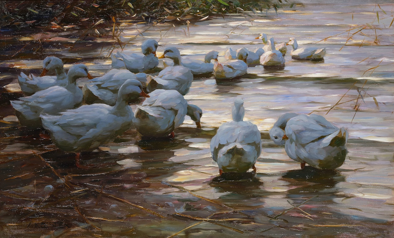 Ducks in a Pond by Alexander Koester