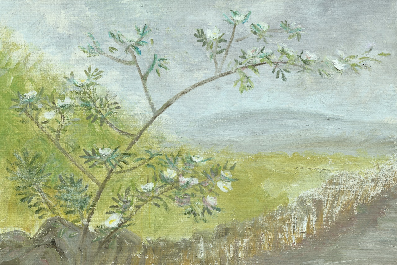 Wild Rose, Hadrian"s Wall by Winifred Nicholson