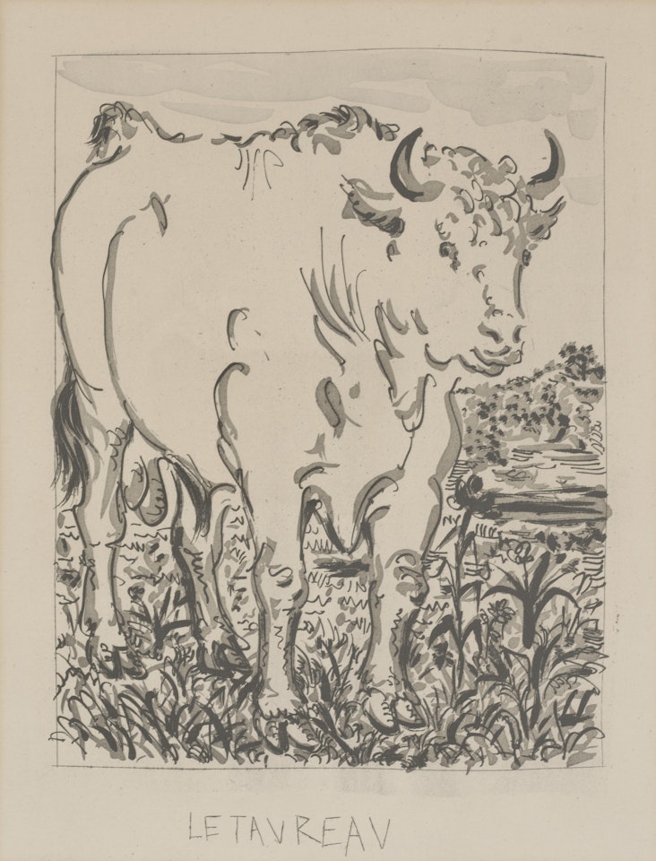 Le Taureau, from: Eaux-fortes originale pour des textes de Buffon by Pablo Picasso