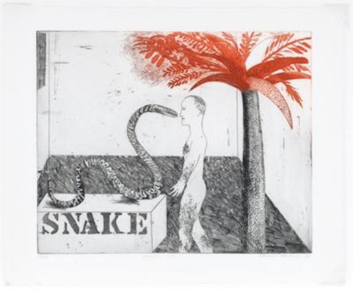 Jungle Boy by David Hockney