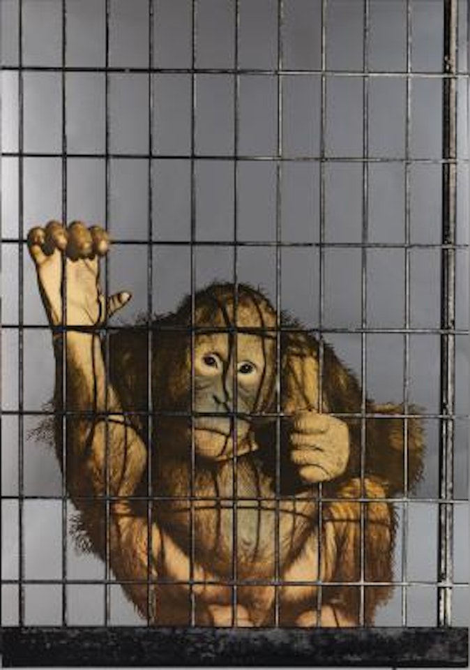 Scimmia in Gabbia by Michelangelo Pistoletto