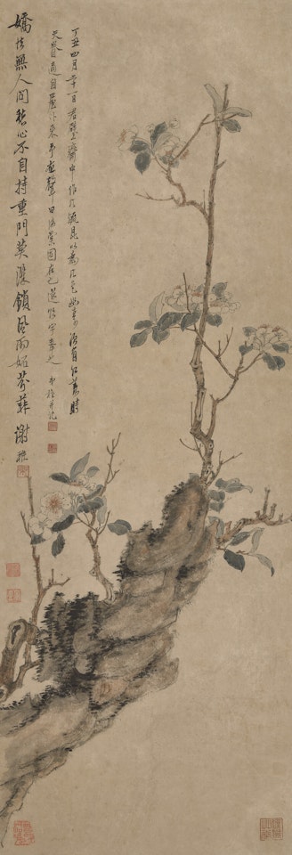 Plum Blossom by Xie Zhiliu