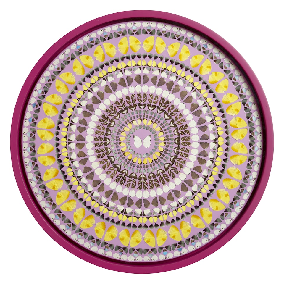 Pratyahara by Damien Hirst