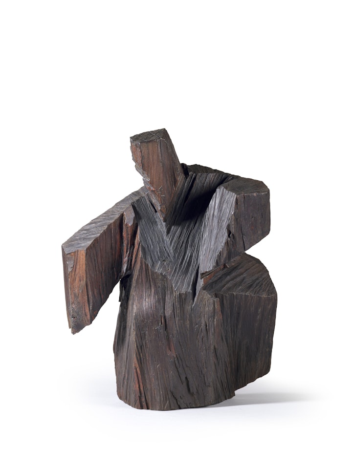 Taichi series by Ju Ming
