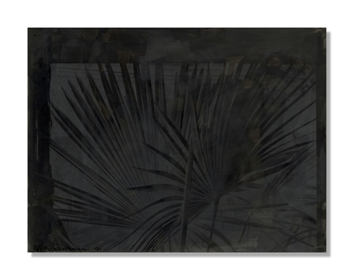 Palm Paw (Night Shade) by Robert Rauschenberg