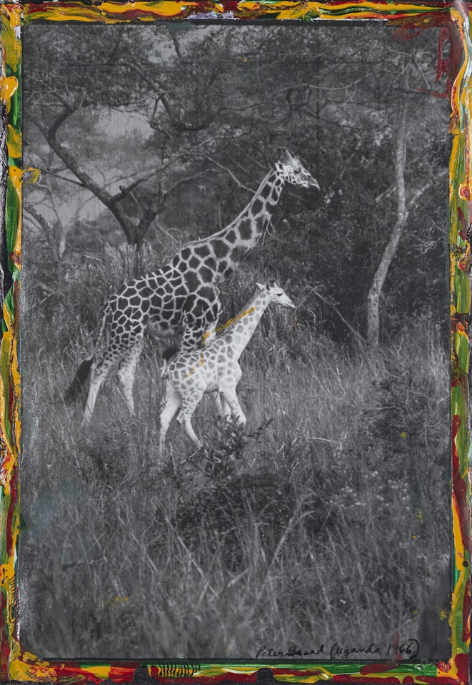Uganda by Peter Beard