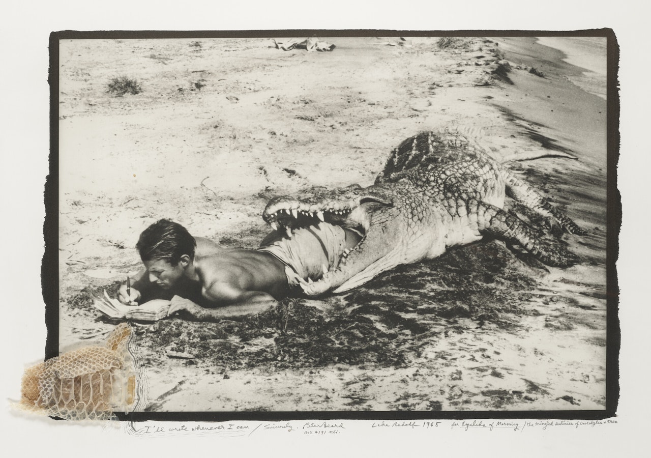 l'll Write Whenever I Can by Peter Beard