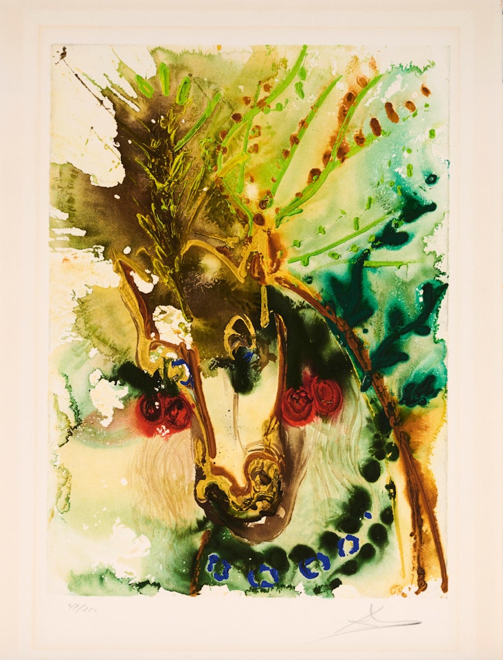 BUCEPHALE by Salvador Dali