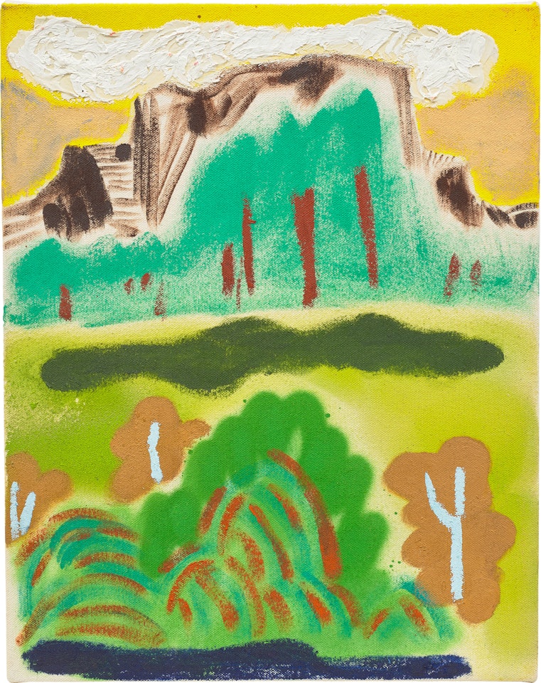 Misguided Cloud by Shara Hughes