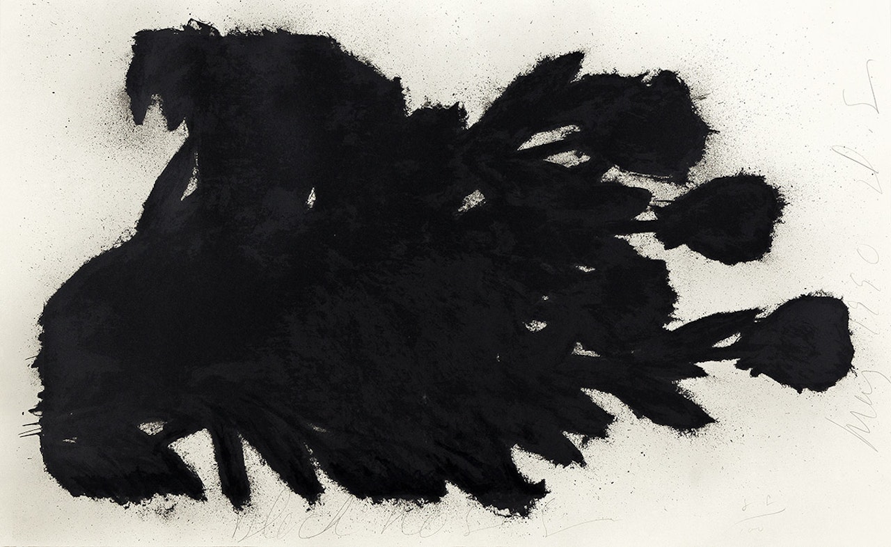 Black Roses by Donald Sultan