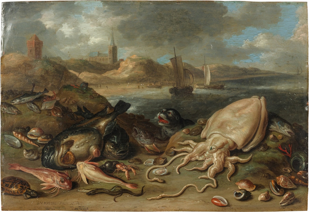 Coastal landscape with seals and squid by Jan Van Kessel The Elder