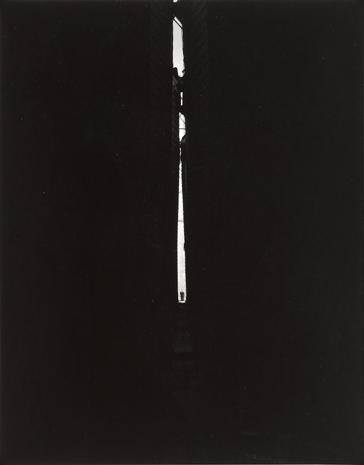 Bob Fine by Harry Callahan