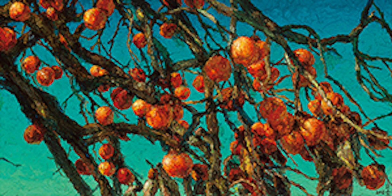 Persimmons by Oh ChiGyun