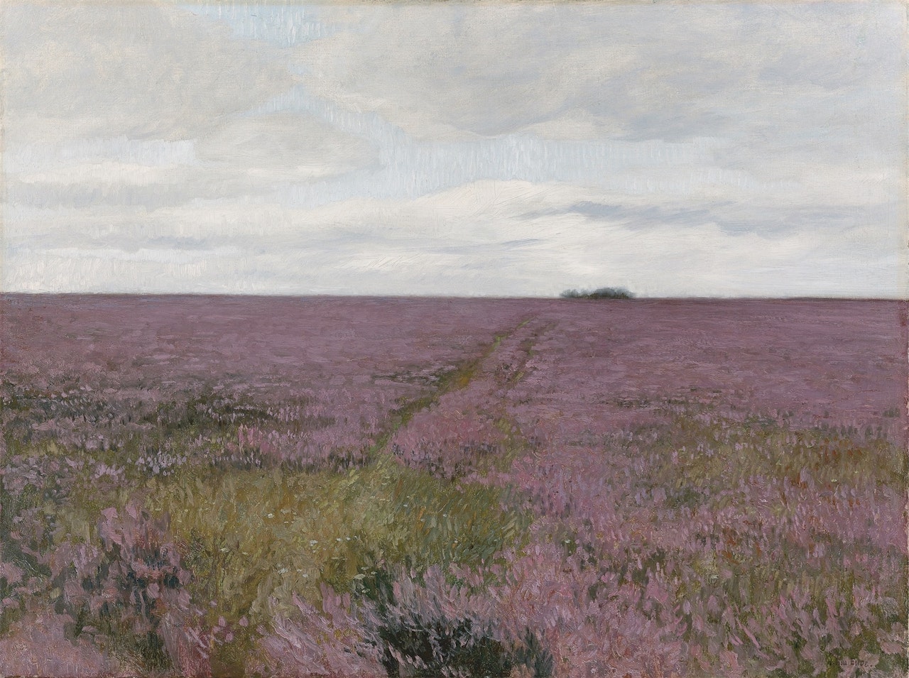 Blossoming Heath by Hans am Ende