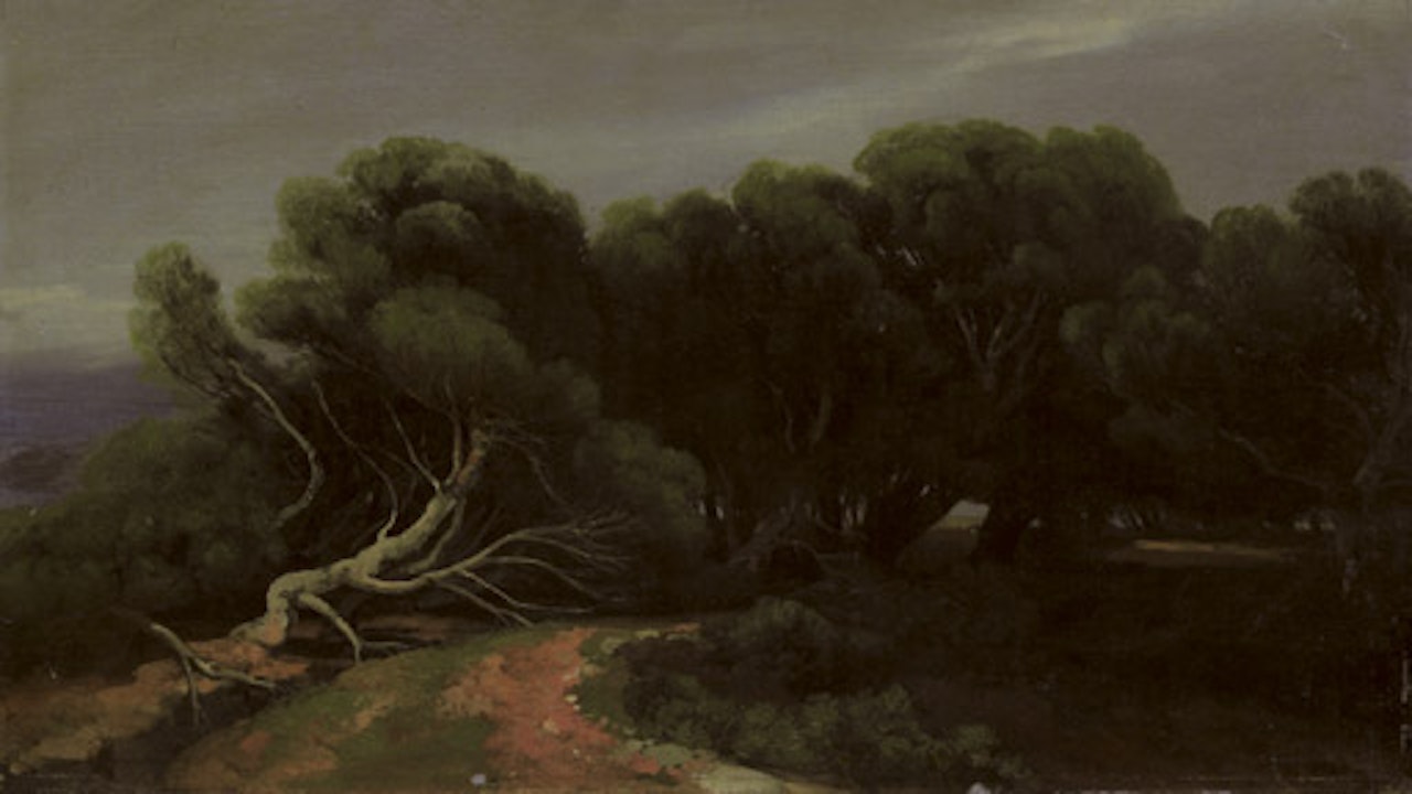 Pins le long d'un chemin au bord de mer by Alexandre Calame