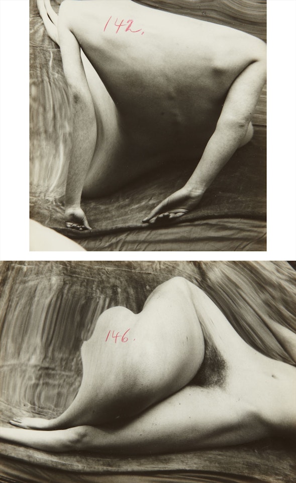 Untitled (Distortion #146). Untitled (Distortion #142) by André Kertész