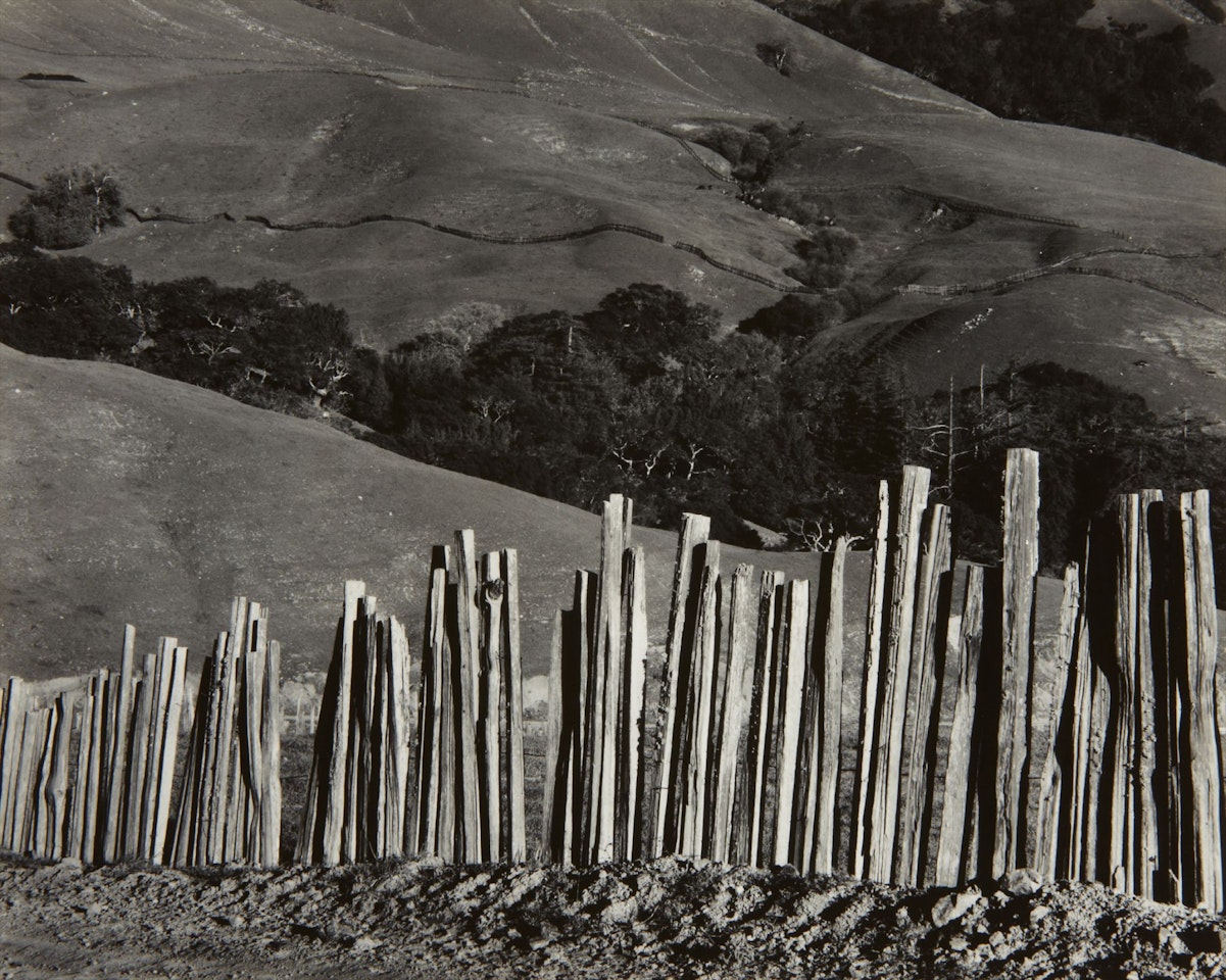 Fence, Old Road, Big Sur by Edward Weston