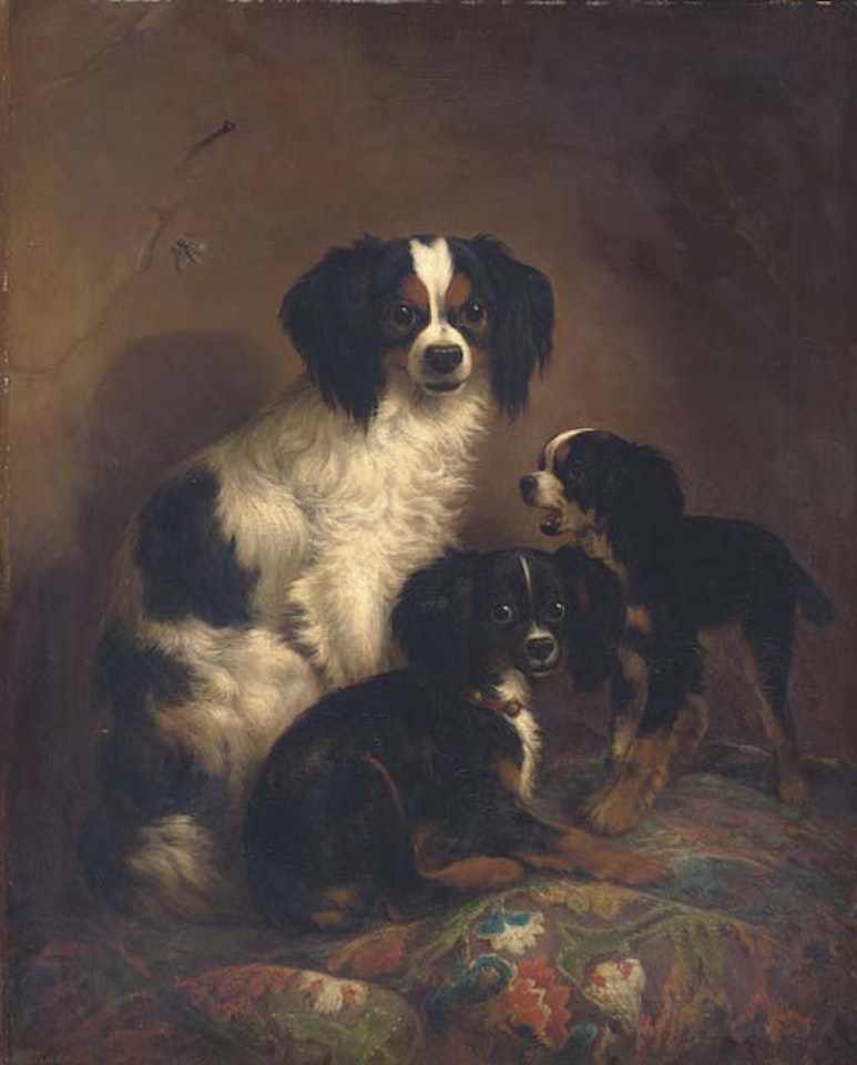 Three King Charles spaniels by August Knip