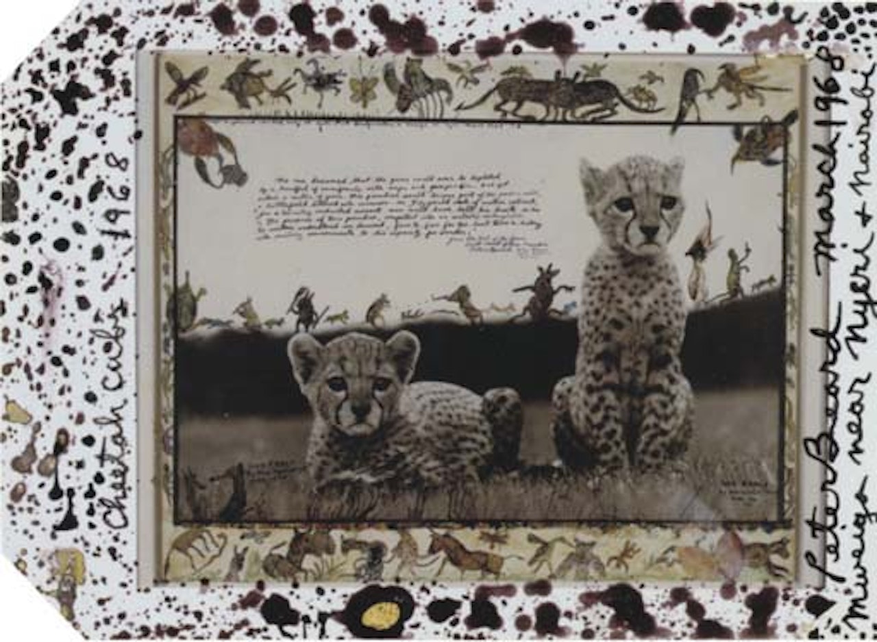 Cheetah cubs by Peter Beard