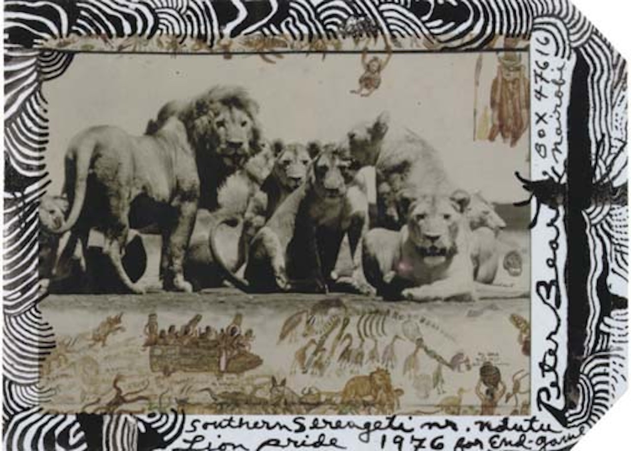 Southern Serengeti lion pride by Peter Beard