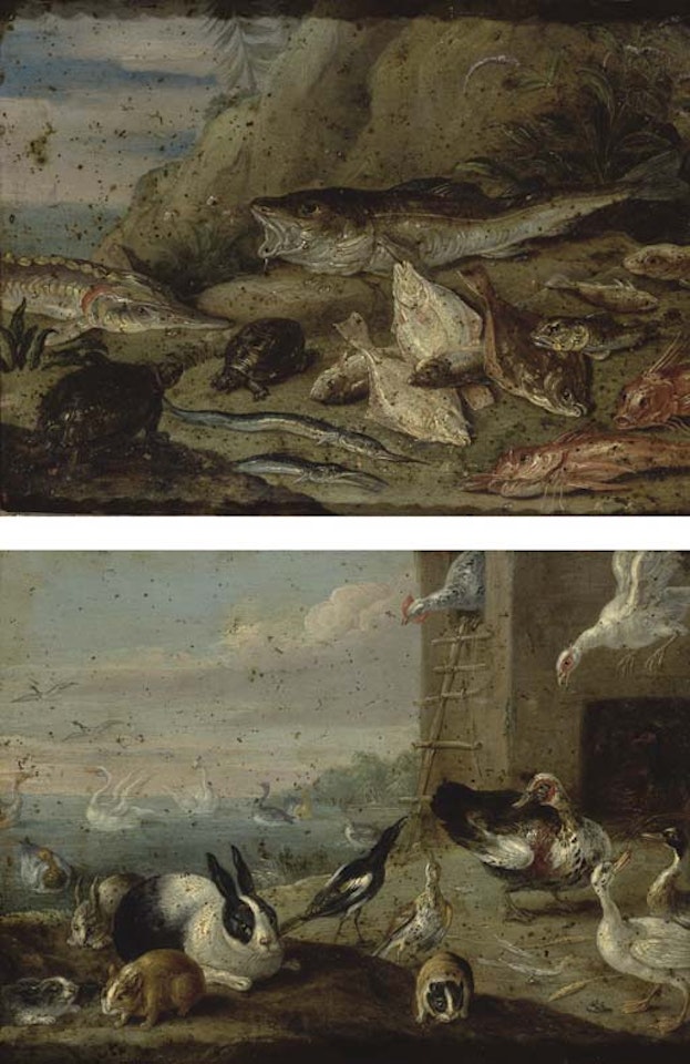 Scenes avec des animaux et des poissons by Jan Van Kessel The Elder