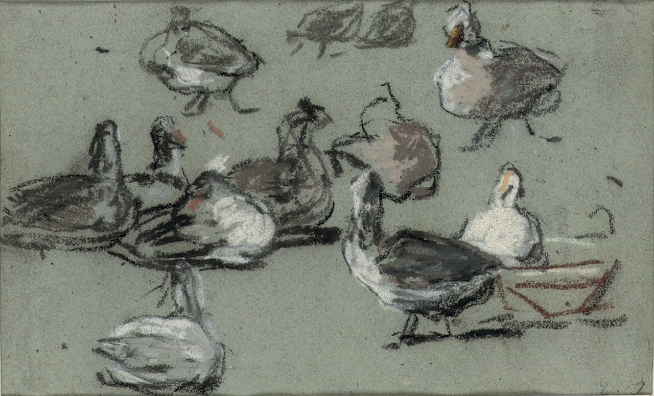 Groupe de canards by Eugène Boudin