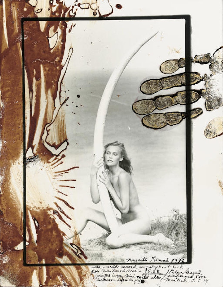 Magritte Rammé with World-Record Cow Elephant Tusk for Fleetwood Mac's Tusk by Peter Beard