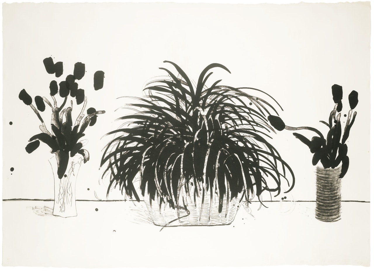 TWO VASES OF CUT FLOWERS AND A LIRIOPE PLANT (MUSEUM CONTEMPORARY ART TOKYO 232) by David Hockney