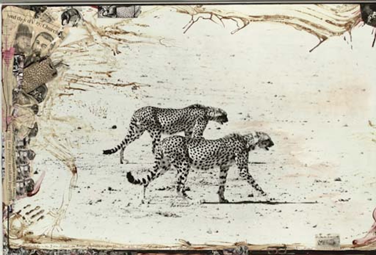 Hunting cheetahs on the Tarn Desert in Kenya for the "End of the Game" by Peter Beard