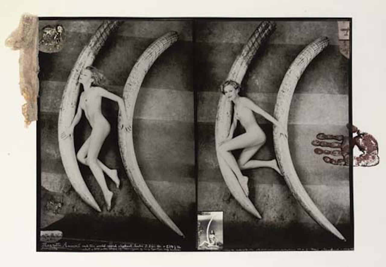 Magritte Ramme and the world record elephant tusks by Peter Beard