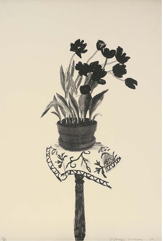 Black tulips by David Hockney