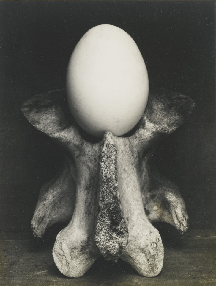 EGG AND BONE by Edward Weston