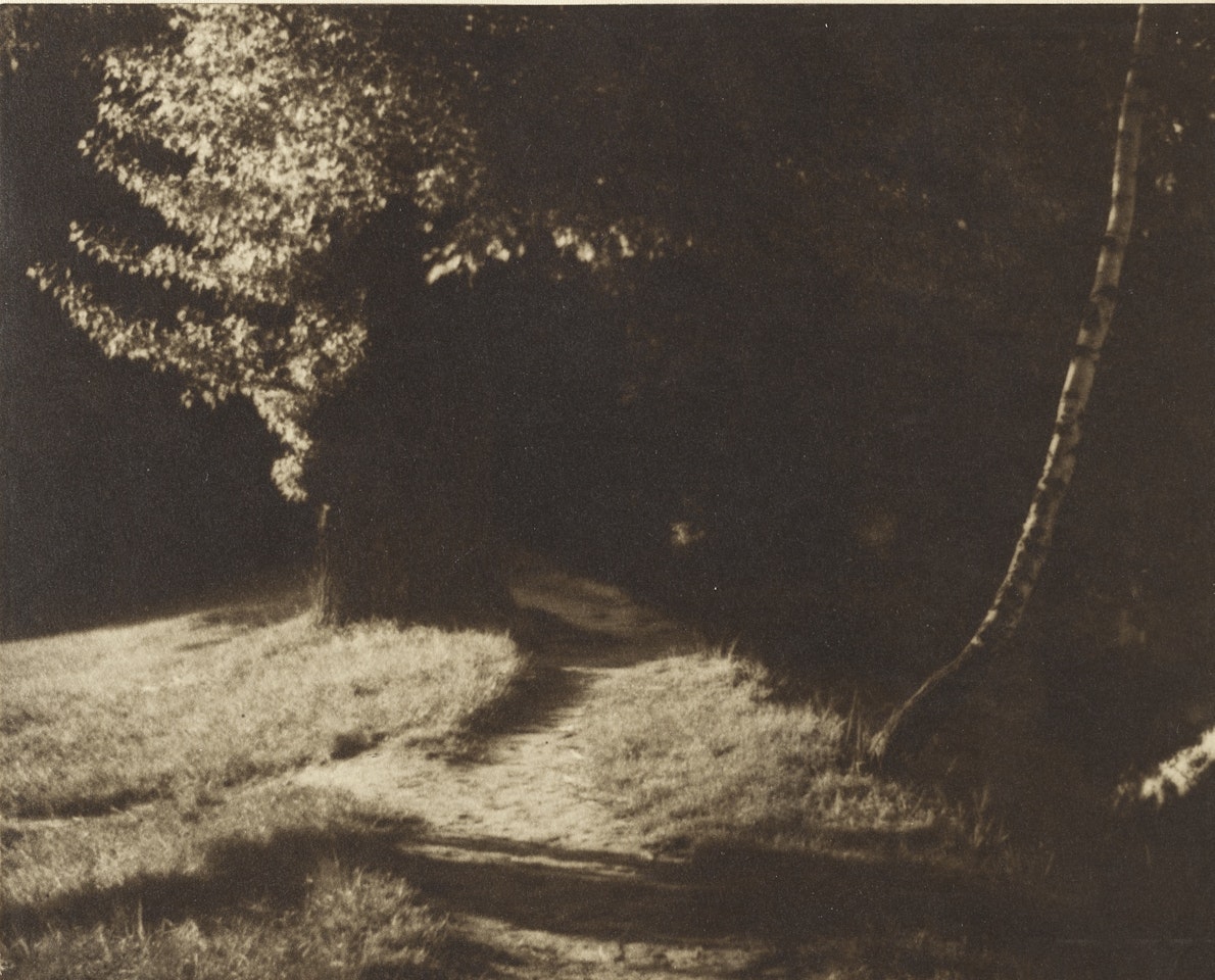 LANDSCAPE by Josef Sudek