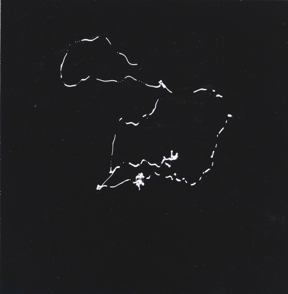LIGHT STUDY by Harry Callahan