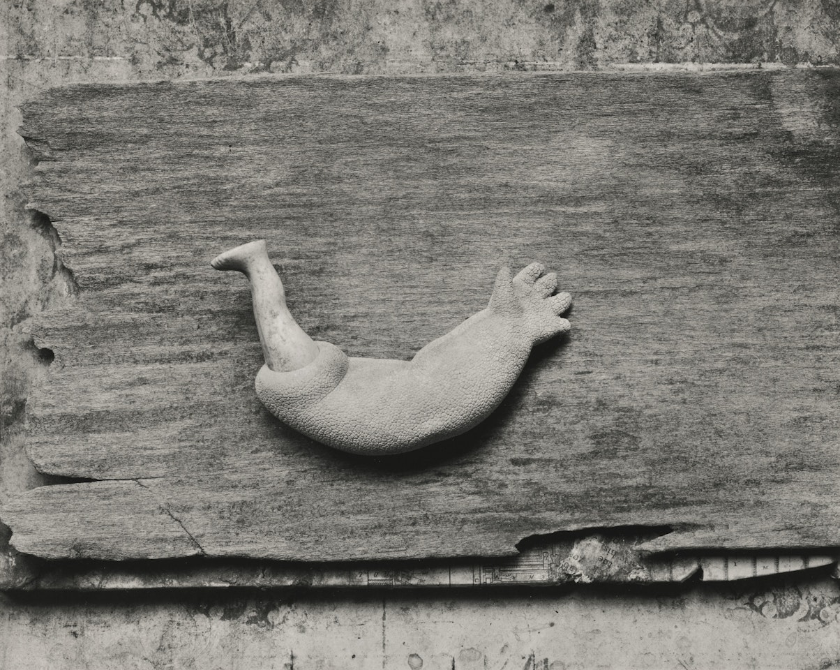 ONDINE by Frederick Sommer