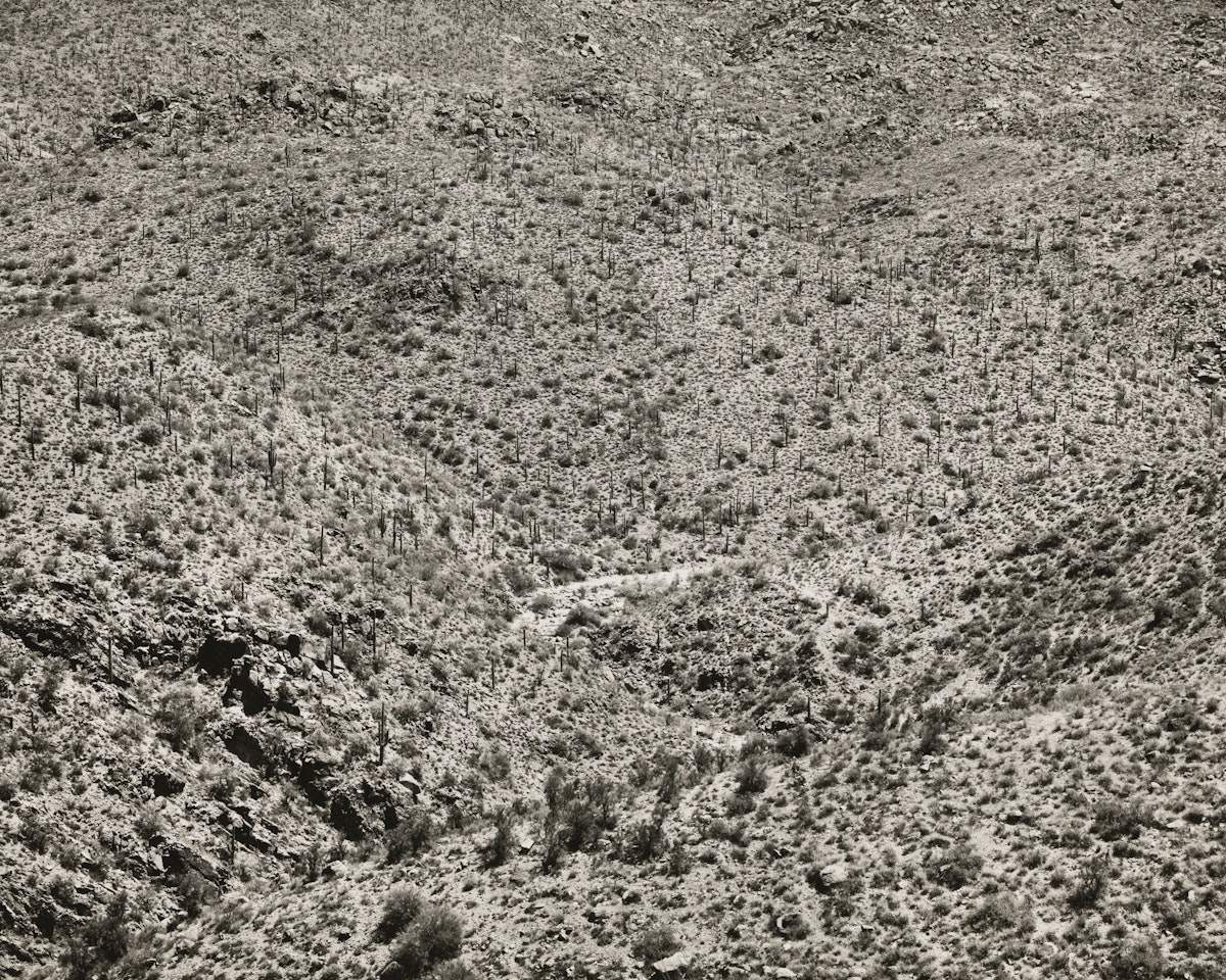 ARIZONA LANDSCAPE by Frederick Sommer