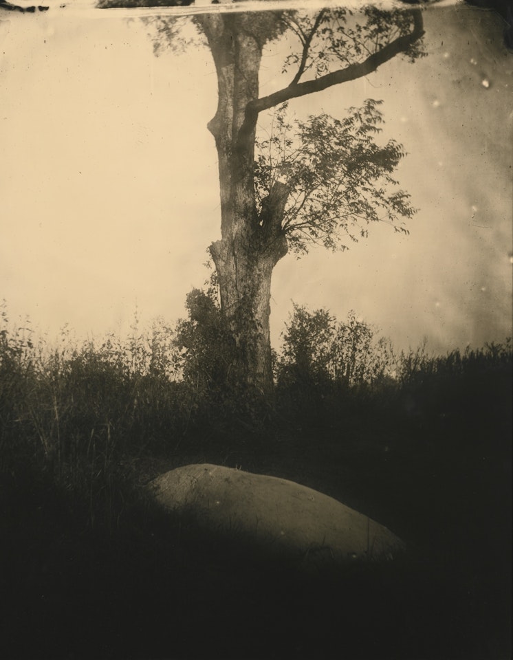 UNTITLED (DEEP SOUTH #05) by Sally Mann