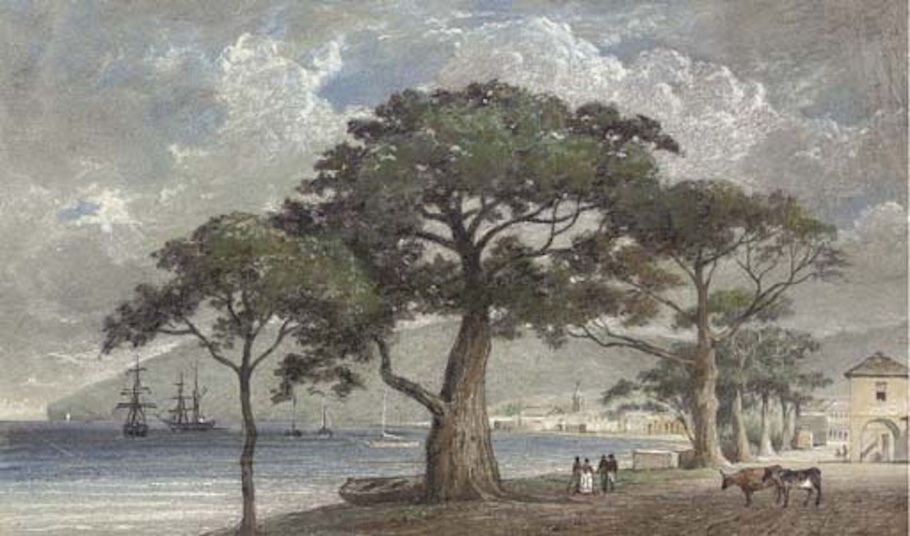Port scene in the West Indies by Michel J Cazabon
