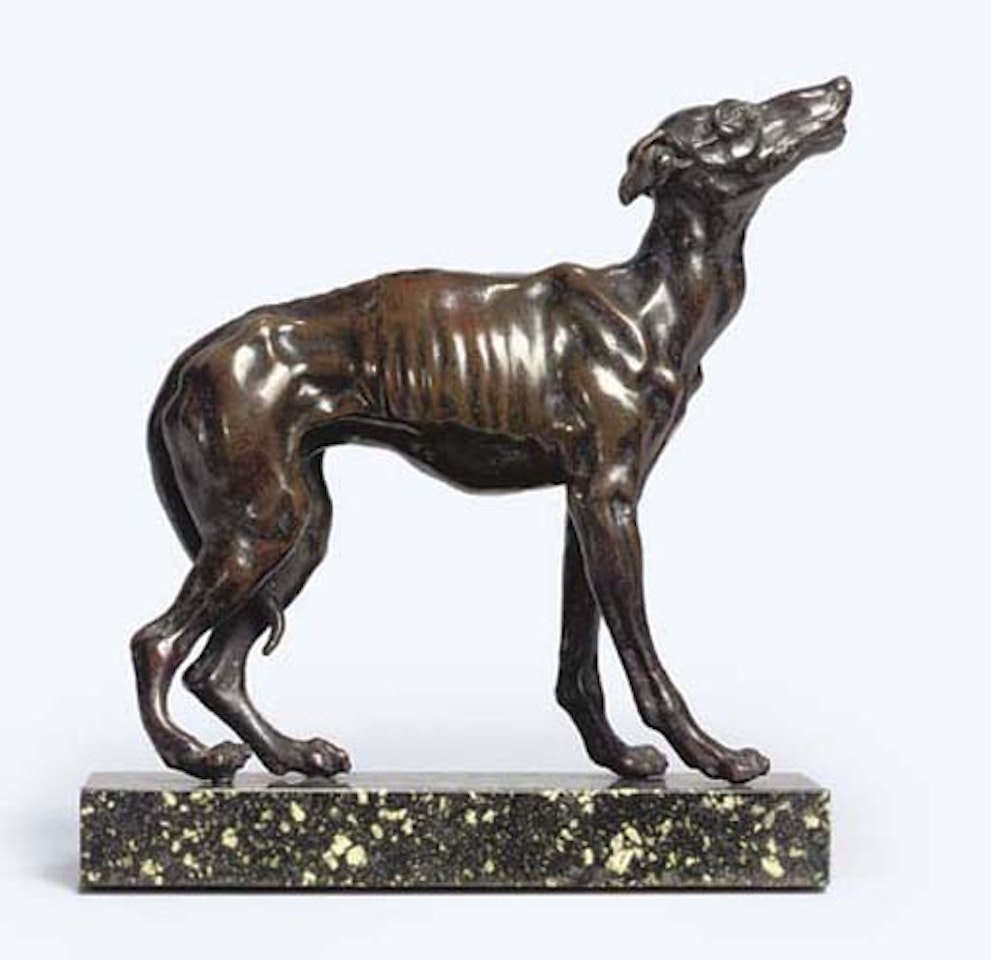 Greyhound by European School