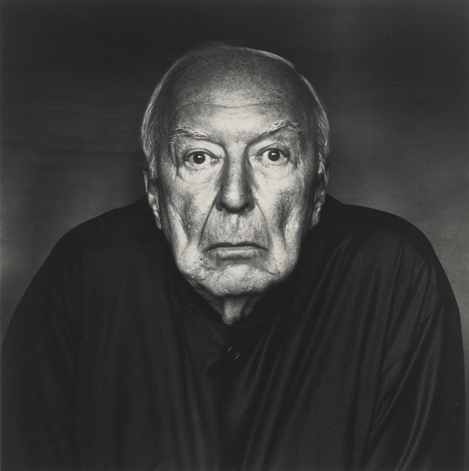 JASPER JOHNS (A) (NEW YORK, JUNE 8, 2006)' by Irving Penn