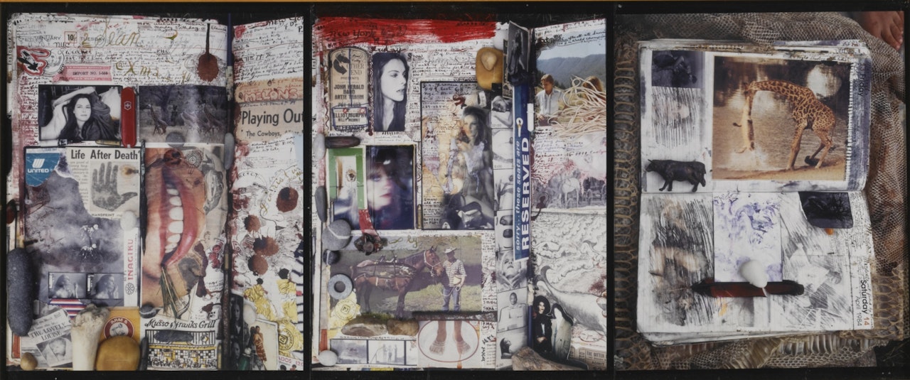 SELECTED DIARY PAGES by Peter Beard