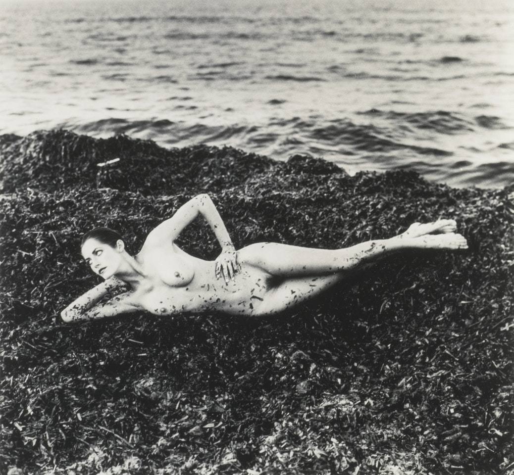 NUDE IN SEAWEED, ST. TROPEZ (FROM PRIVATE PROPERTY SUITE I) by Helmut Newton