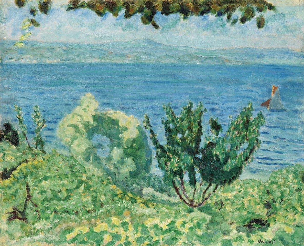 MARINE SAINT-TROPEZ OU LES ARBRES ET LA MER by Pierre Bonnard